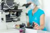 Budeme mít zdravé dítě? Nový test reprodukční kompatibility to zjistí