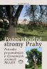 Příběhy pražských stromů představuje kniha Pozoruhodné stromy Prahy