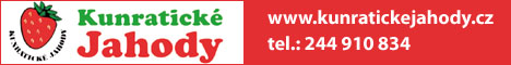 Katalog firem Uniform - reklamní banner