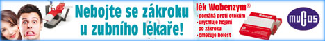 Katalog firem Uniform - reklamní banner