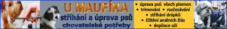 Katalog firem Uniform - reklamní banner