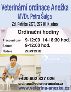 Katalog firem Uniform - reklamní banner