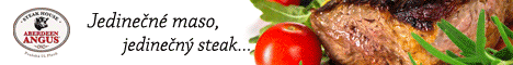 Katalog firem Uniform - reklamní banner