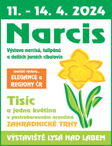VLL_D narcis