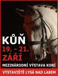 kůň 2025