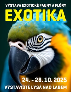exotika 2025