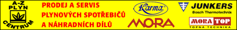 10728011