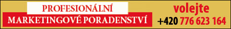 Marketingové poradenství