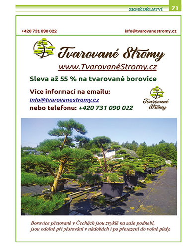strana71